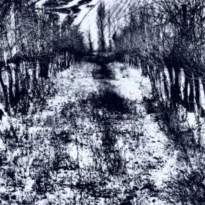 Neve nel vigneto ( Snow in the vineyard ) 