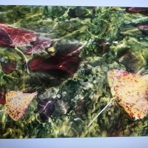 La pace dopo la tempesta. 