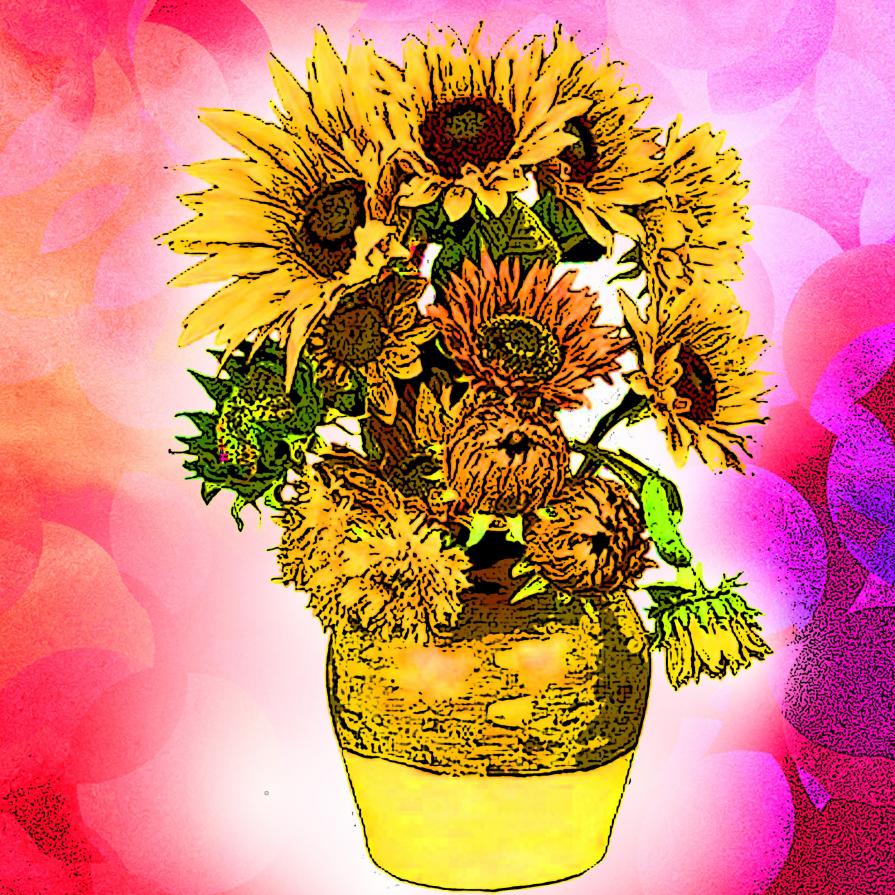  I love the sunflowers. They always know where to turn...!!!