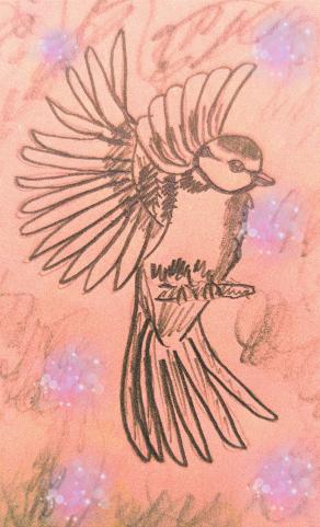 Matita e fantasia 95