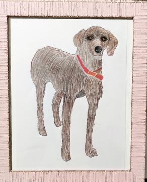           ... "Amore è una parola di quattro zampe" ...