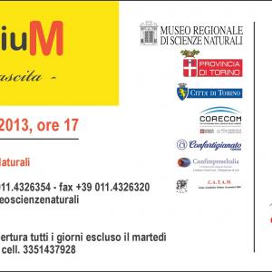 Millenium - La Rinascita