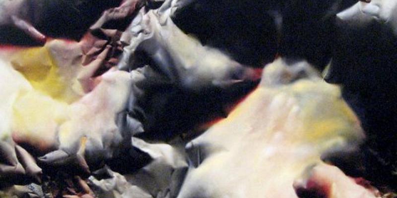 V° BIENNALE INTERNAZIONALE D'ARTE DI FERRARA 2010 V° BIENNALE INTERNAZIONALE D'ARTE DI FERRARA 2010