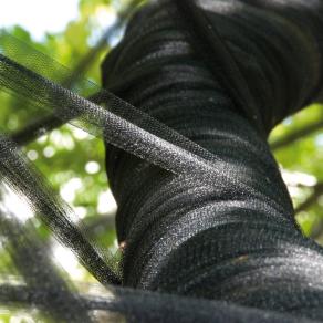 ...abbiamo esaurito lo zucchero... 5