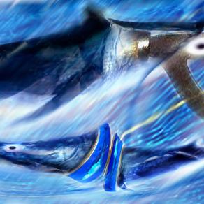 un artista pop uso una scatoletta di pomodori per comunicare...