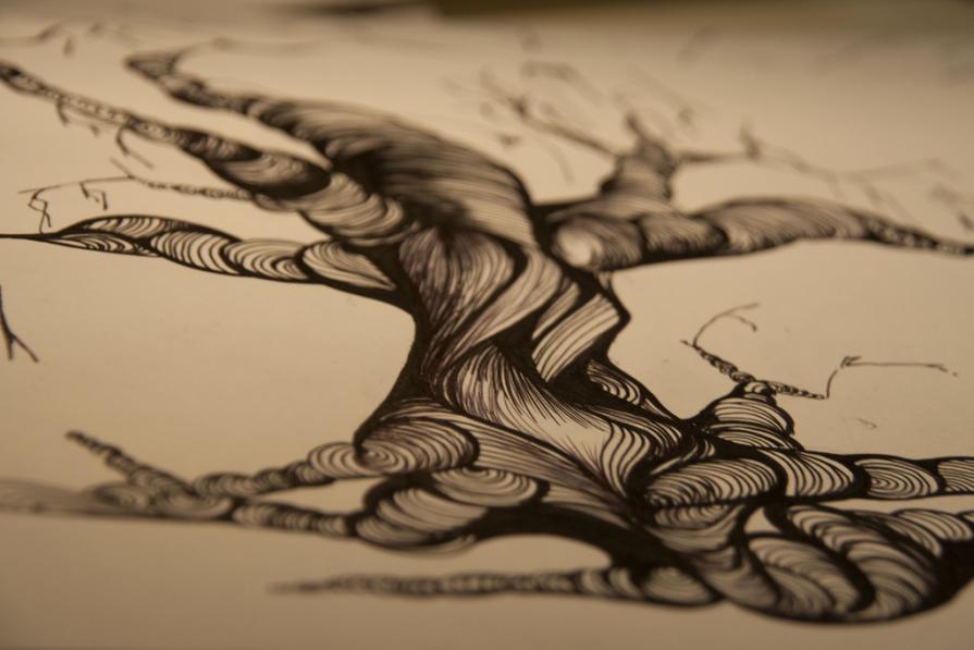 Ci vuole una linea di danza per fare l’albero della Speranza