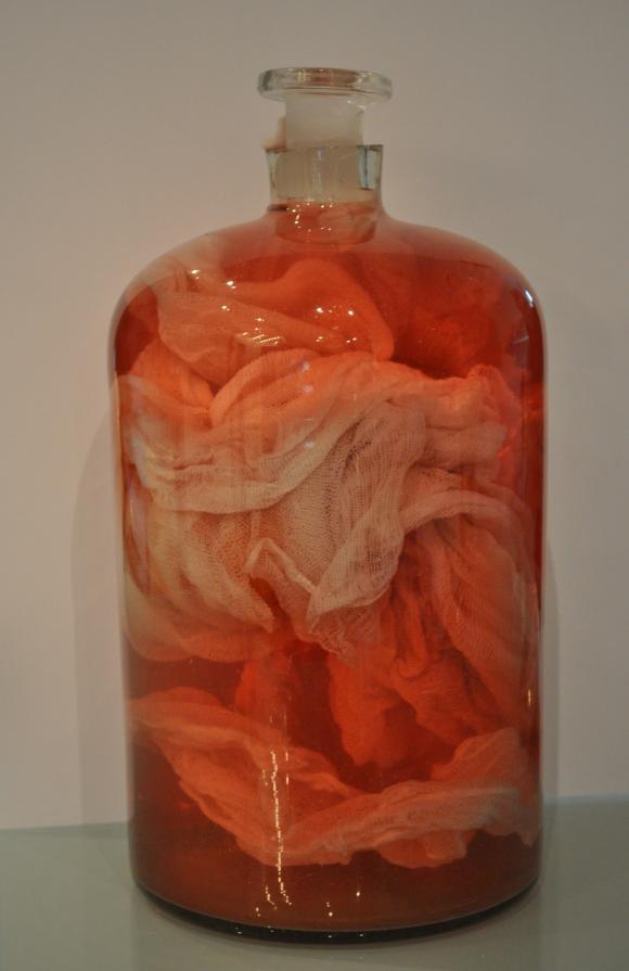 Kirschblüte II Kirschblüte II