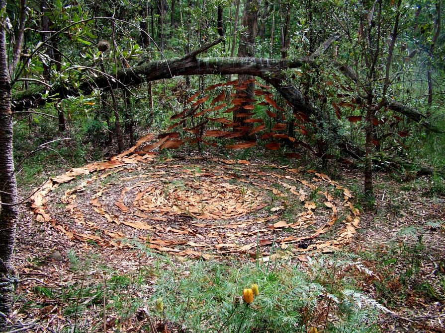 Star Rotation Star Rotation