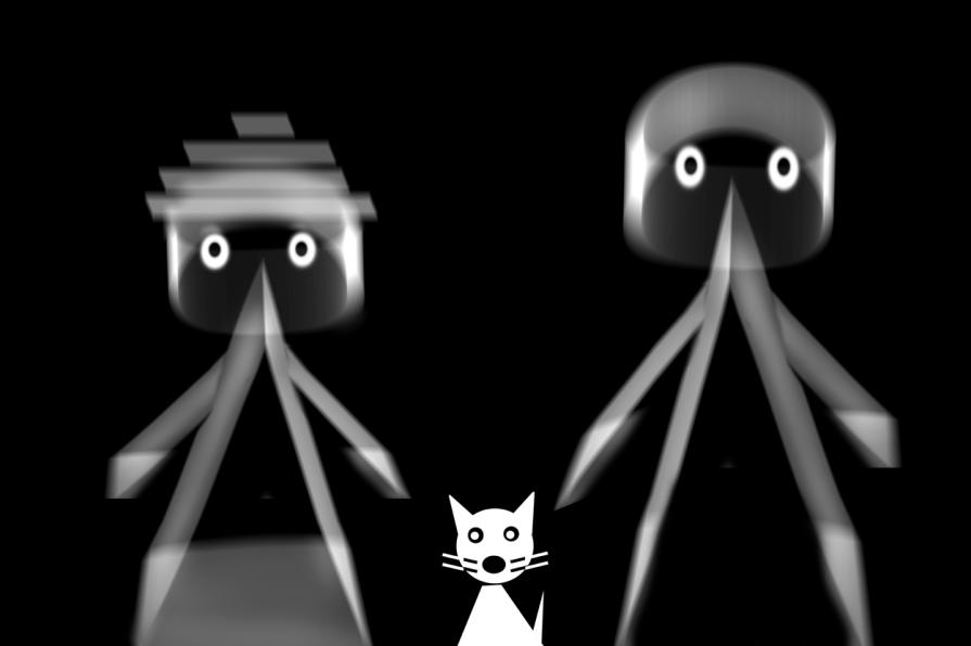 di chi è il gatto ??????? è il suo signora.