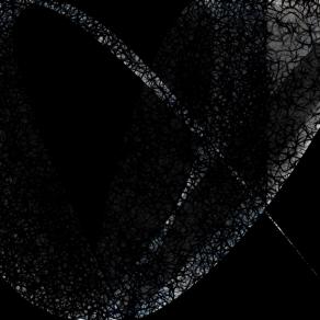 Nel cielo ...questa notte 