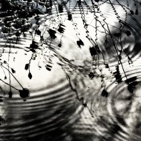 Tre lacrime sono troppe 