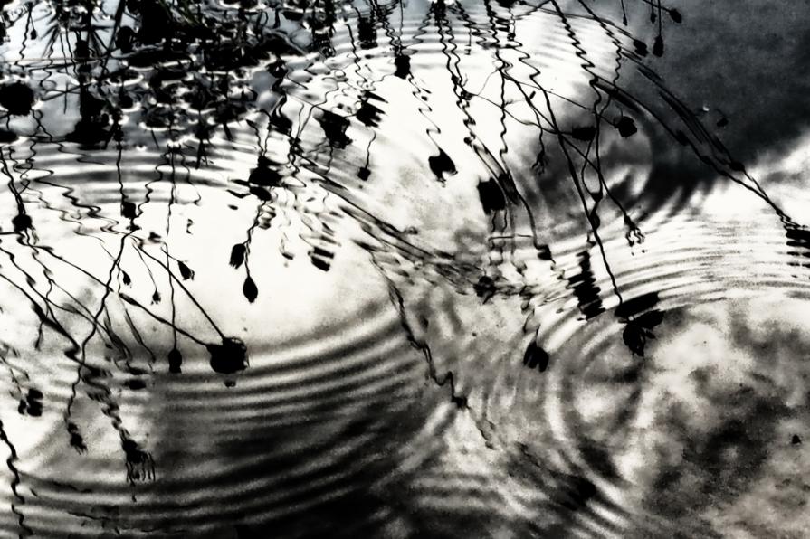 Tre lacrime sono troppe 