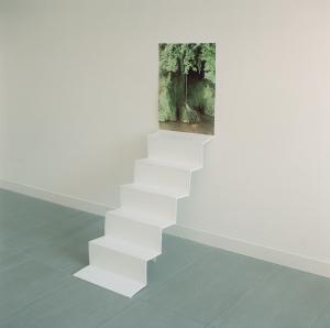 Simona Luchian - Supporto per immagini