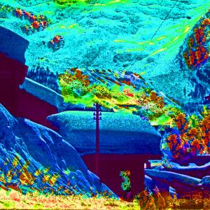 Color Dots Dispersal