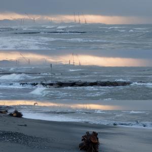 Premio Primal Energy 2011 Premio Primal Energy 2011