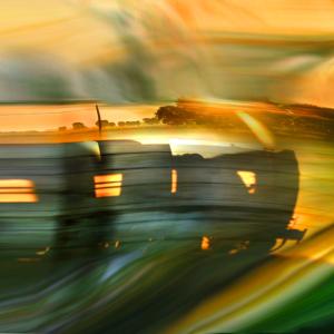 amstedam whitney gallery