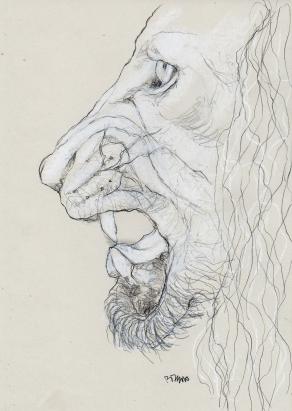 lion