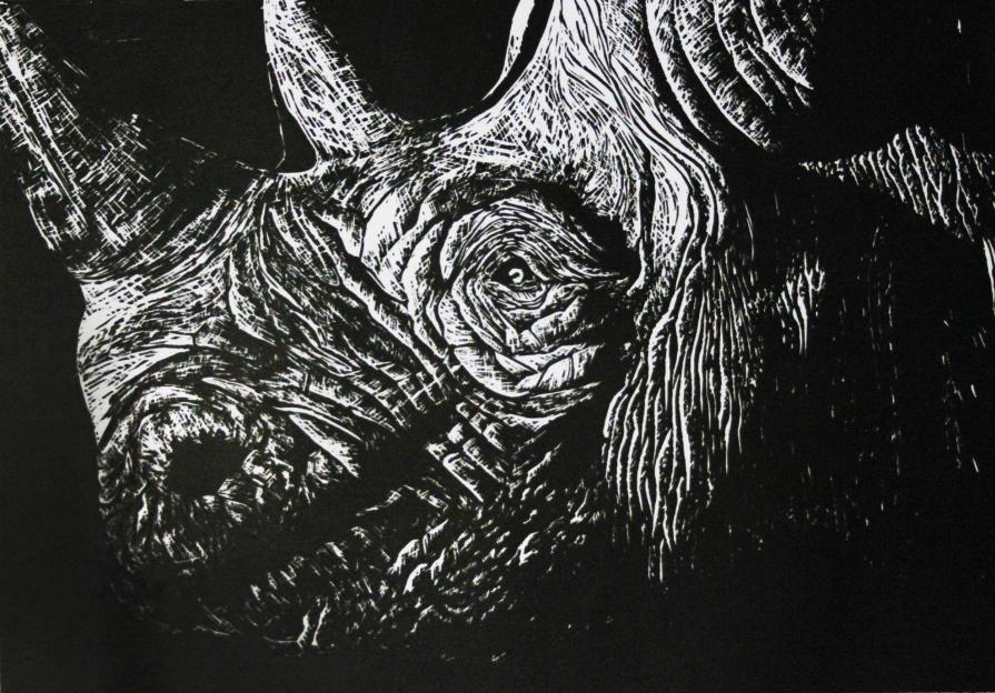 Black rhino
