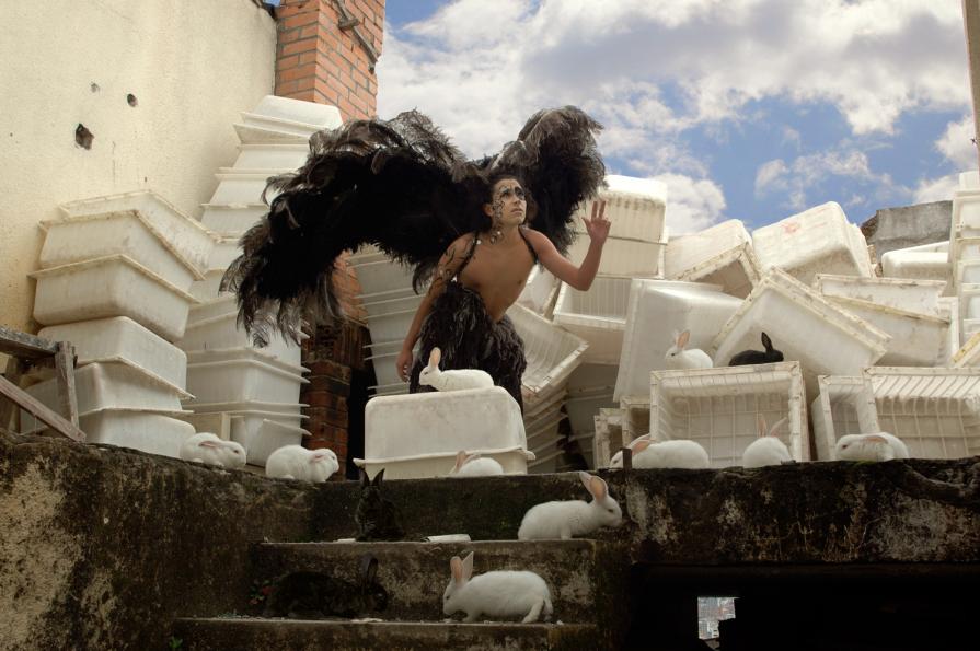 The Rabbits on the road of Luci and Fer The Rabbits on the road of Luci and Fer