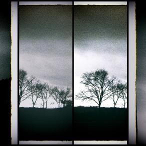  Frames from my winter 