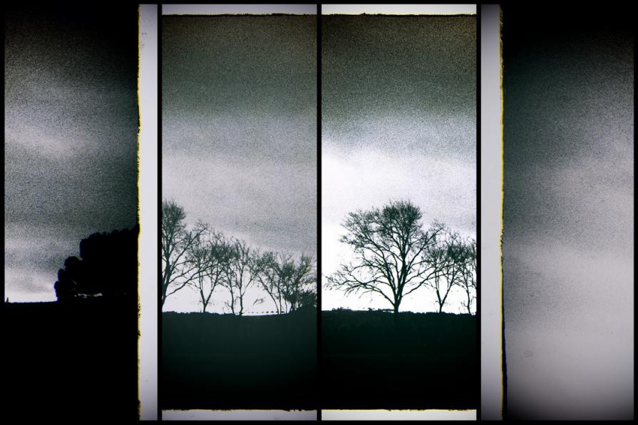  Frames from my winter 