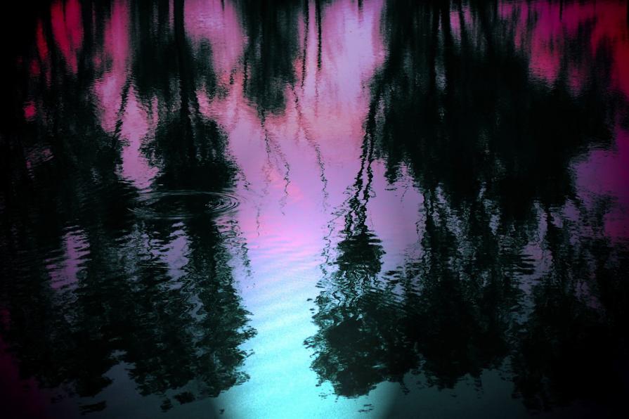 Stato di beatitudine 