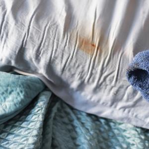 Seized, 2012 Seized, 2012