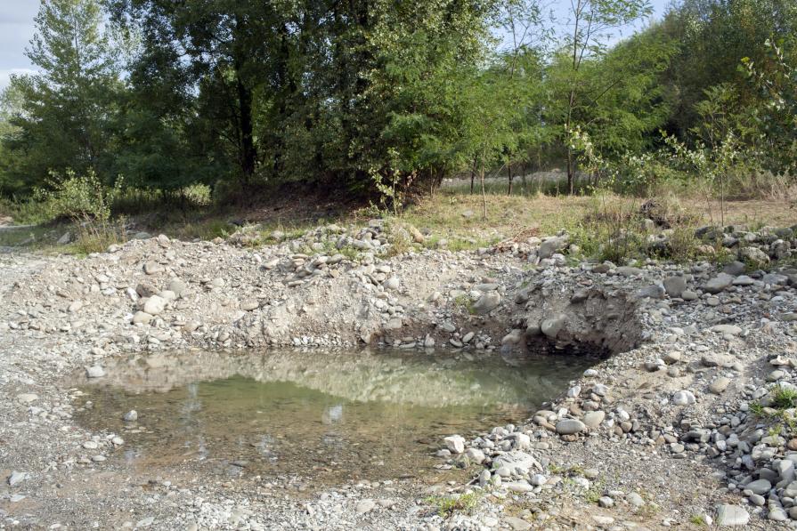 Vorrei essere altro, vorrei essere me.