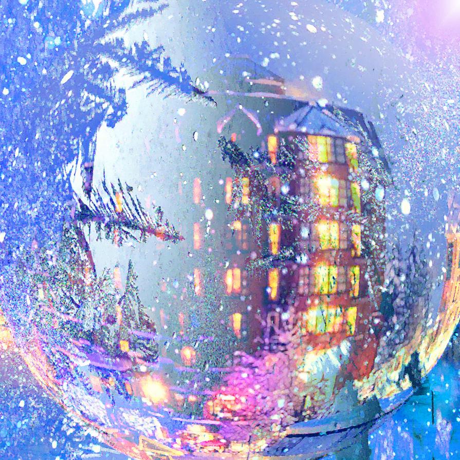 ...pensavo che la brina fosse polvere magica che il vento regalava all’inverno... 