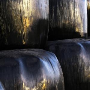 Exposition d'art - Lectoure 2018  - Exposition internationale de photographies et de sculptures 