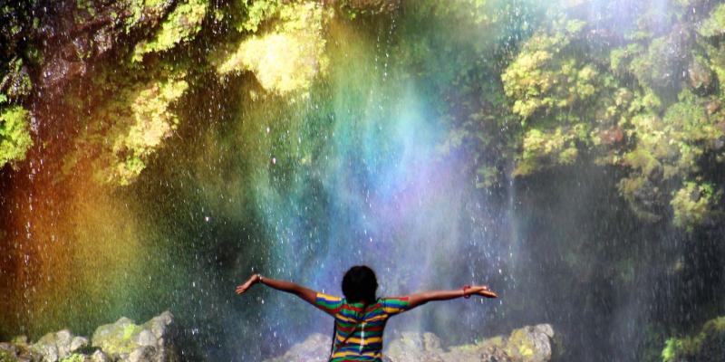 Kilimanjaro, Tanzania, East Africa Kilimanjaro, Tanzania, East Africa