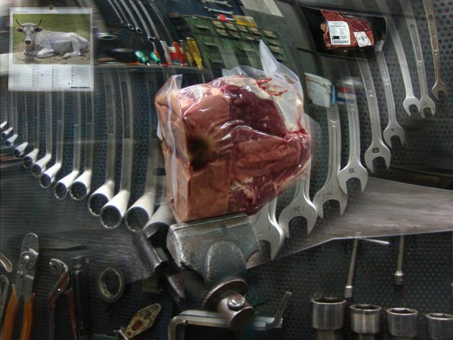 Autofficina Panigalli. non portatemi via la mia chianina.