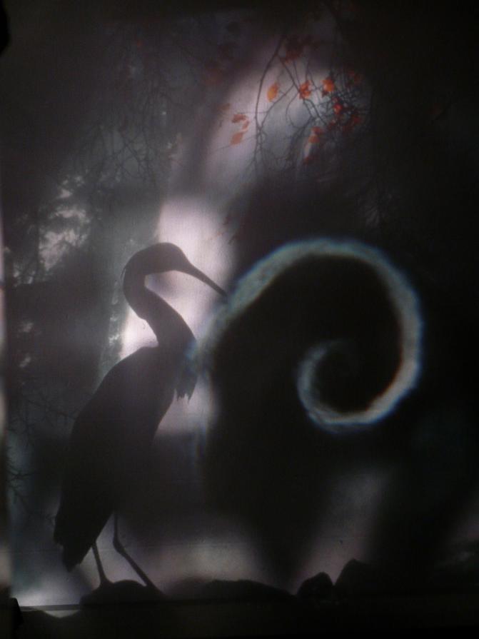 The Pussy,the mirror,the window,the spiral and the egret.Dimly by mirror.Sasom i en spegel..I.BERGMA The Pussy,the mirror,the window,the spiral and the egret.Dimly by mirror.Sasom i en spegel..I.BERGMA