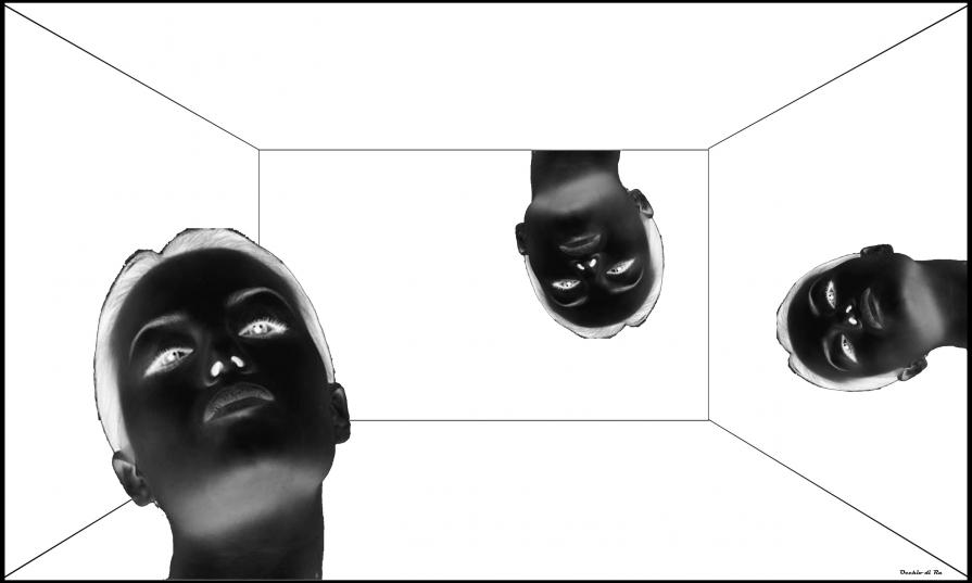 Il Punto di Vista - AlternativeVision