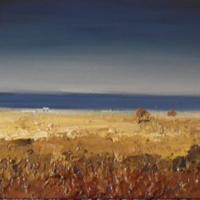 La spiaggia abbandonata