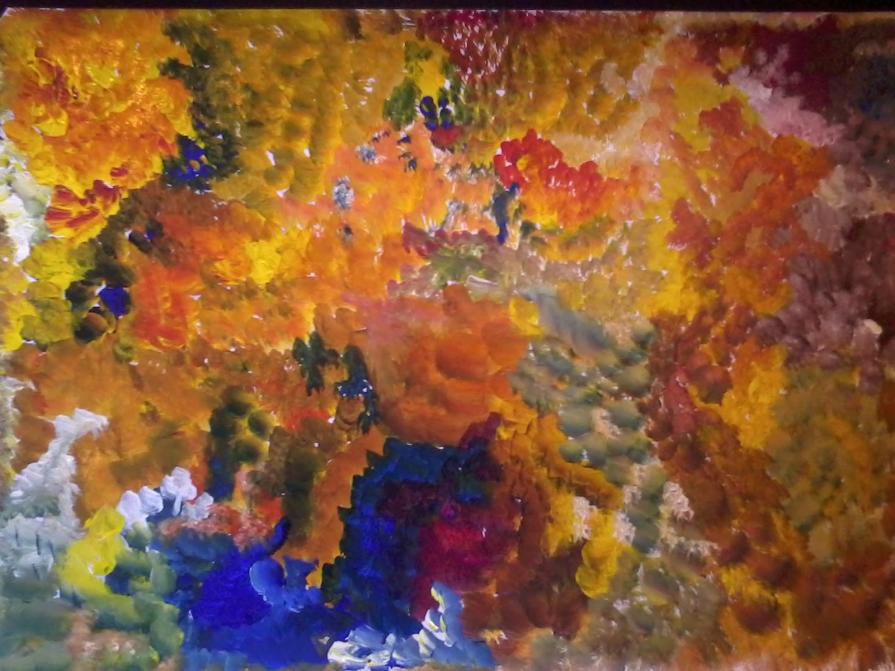 Il sole che sorge e il bosco