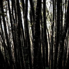 La strada più difficile è sempre la migliore 