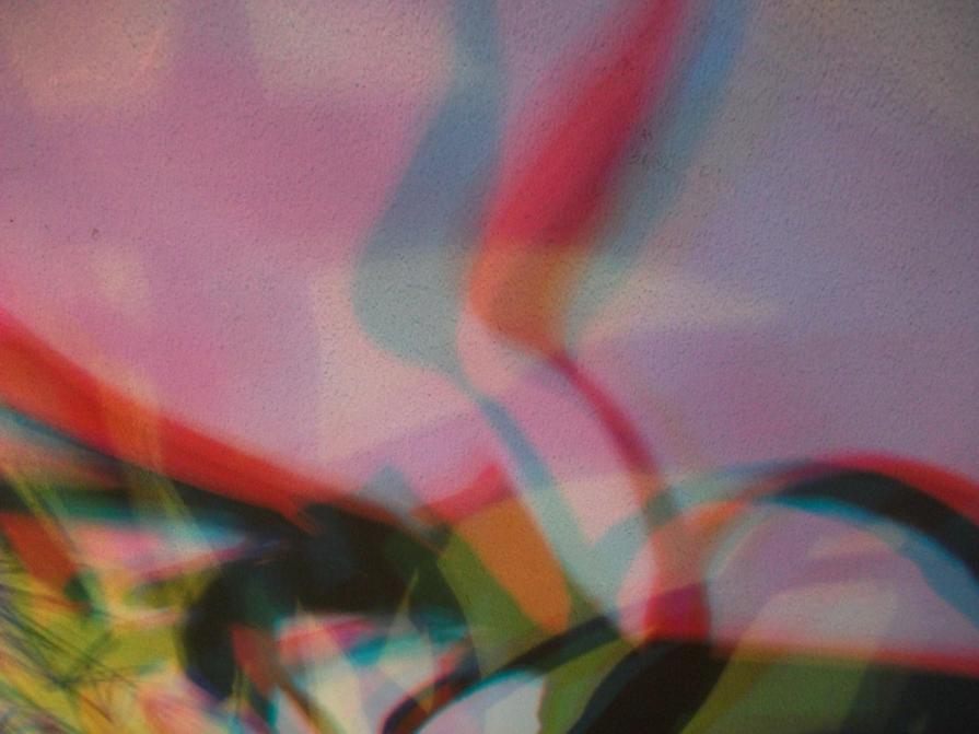 I COLORI DELLA BIODIVERSITÀ