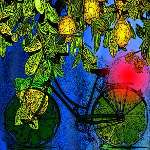 Ogni qualvolta vedo un limone e un rosso tramonto di sole, vedo la mia patria !!!