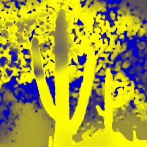 aspettano in silenzio le belle giornate !!!