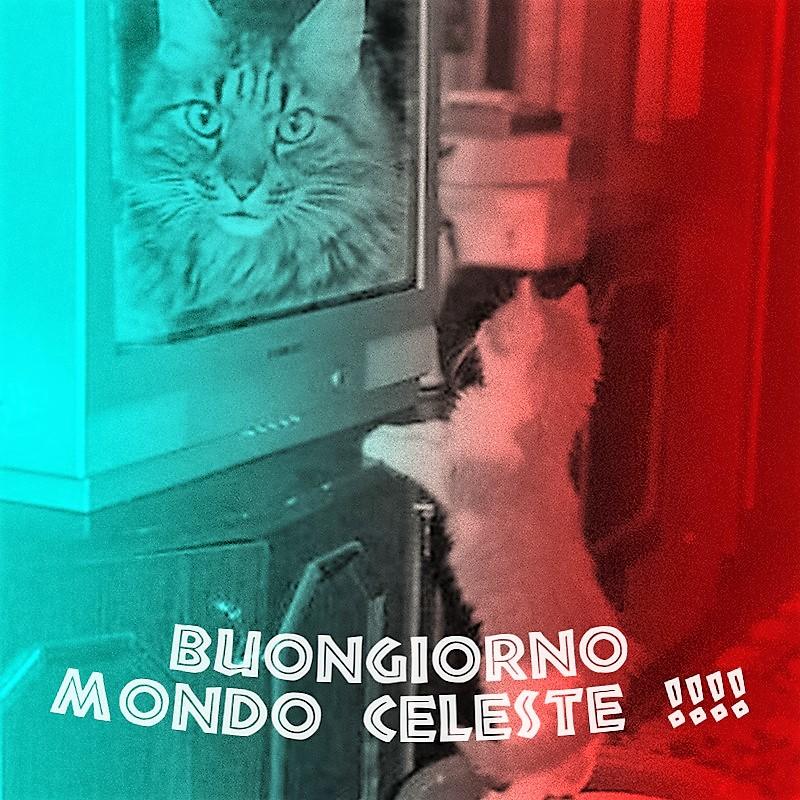 Mi alzo sempre per vedere qual è il prossimo !!!