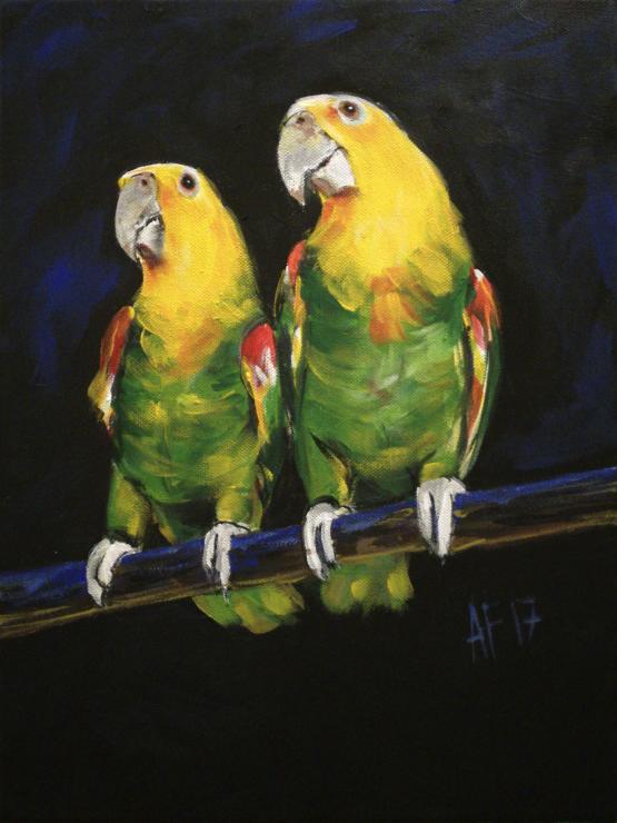 Moonlight serenade - romantic parrots