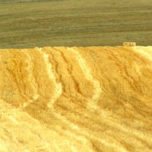 Italy. Basilicata. Potenza (2)