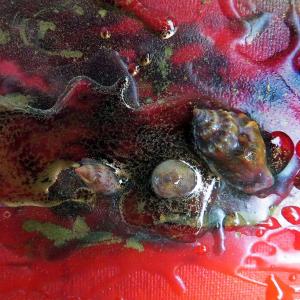 NUOVO EVENTO SABATO 22 ALLE ORE 18.00 ALLA PERSONALE DI BARBARA GHISI A MODENA 