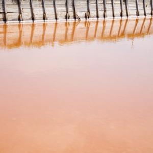 Alessandro Vicario / Contemplazioni Alessandro Vicario / Contemplazioni