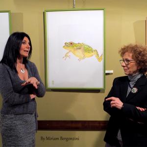 ANIMALS ART al Club La Meridiana di Modena