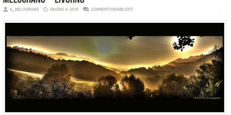Galleria il lMelograno Galleria il lMelograno