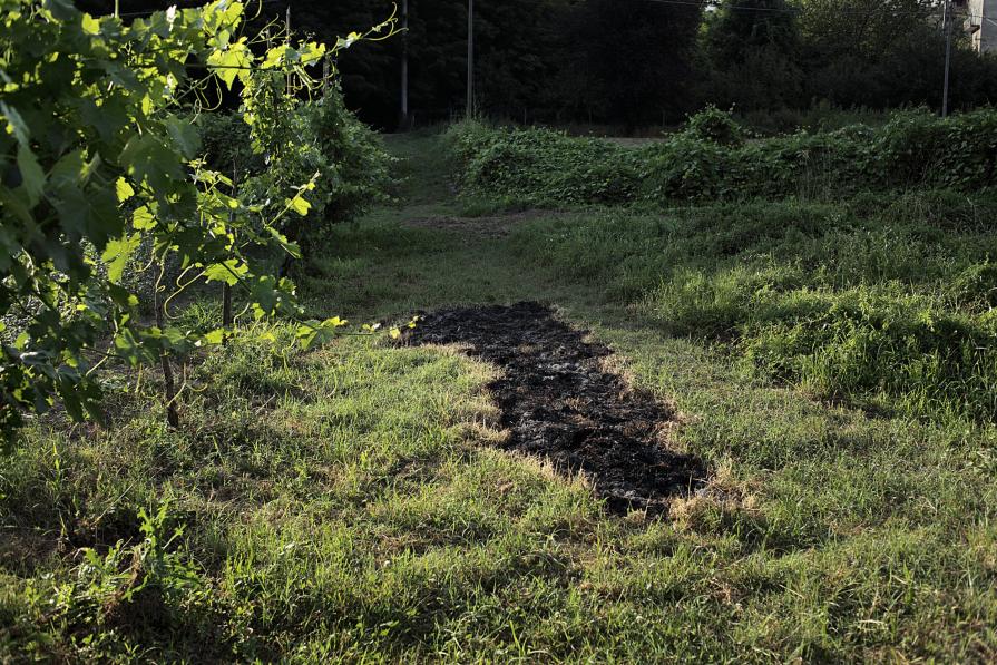 Untitled #1 (Segni delebili)