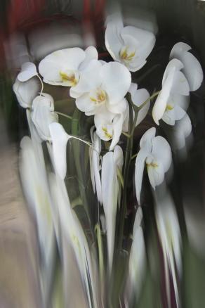 scioglimento generato da un dolore.