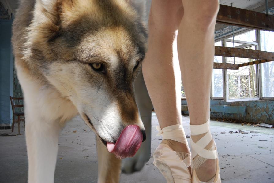 The Dancer - School #6